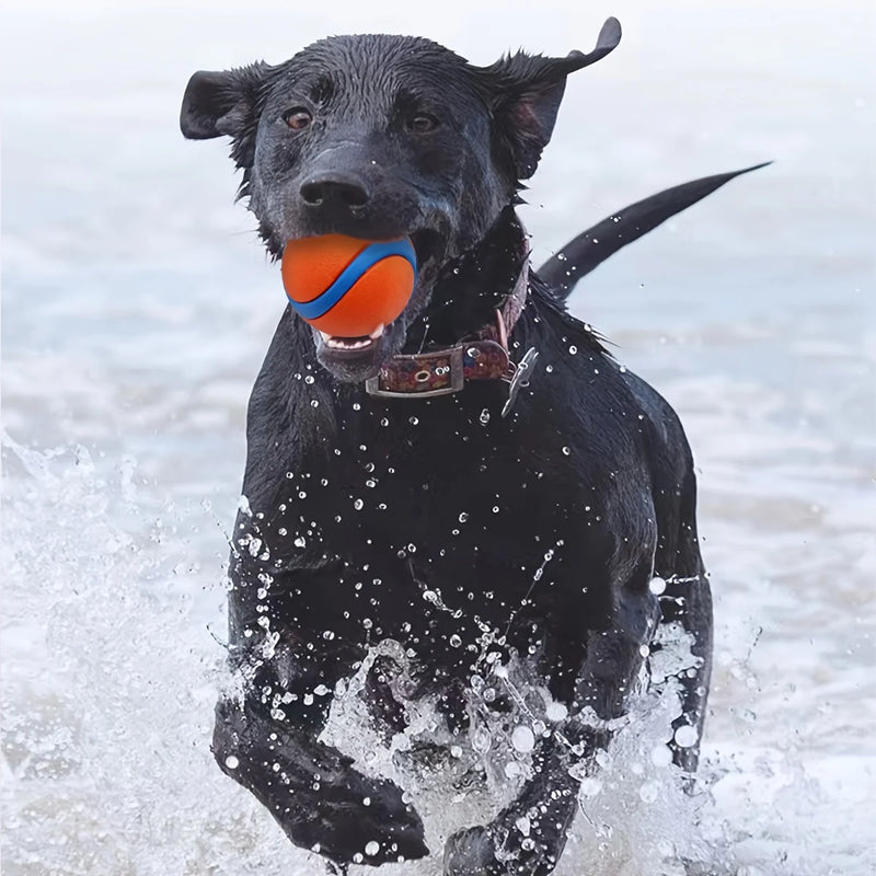 Pelota Mordedora de Silicona para Perros – Juguete Interactivo para Masticar y Jugar