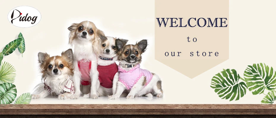 Collar Personalizado para Perros con Malla Transpirable y Detalles Reflectantes