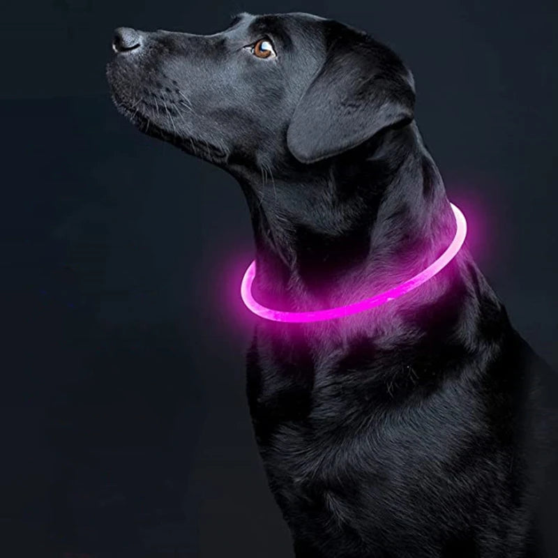 Collar LED Recargable para Perros – Luz de Seguridad para Paseos Nocturnos
