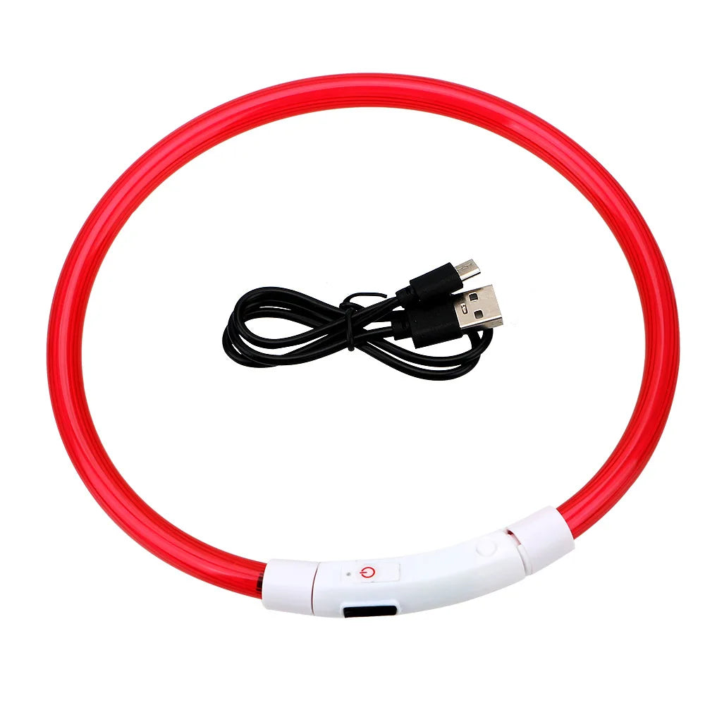 Collar LED Recargable para Perros – Luz de Seguridad para Paseos Nocturnos