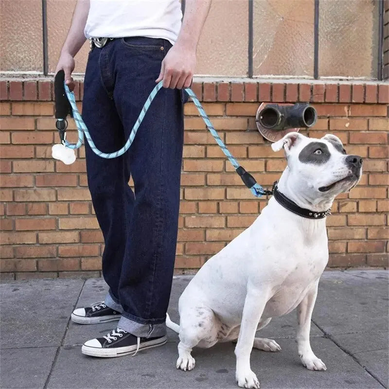 Correa Reflectante para Perros – Resistente con Asa Acolchada