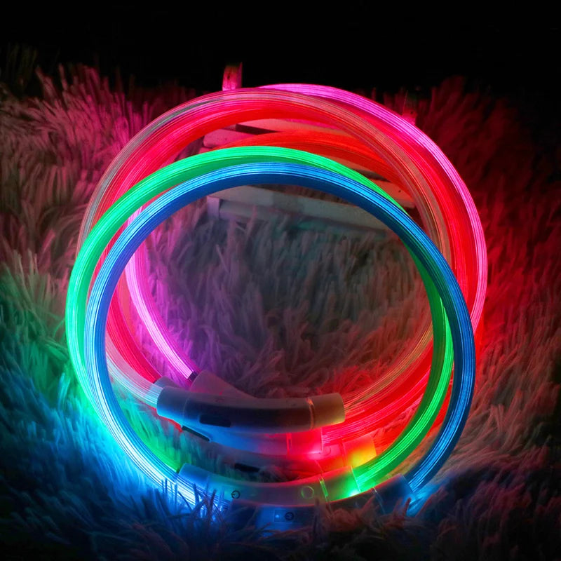 Collar LED Recargable para Perros – Luz de Seguridad para Paseos Nocturnos