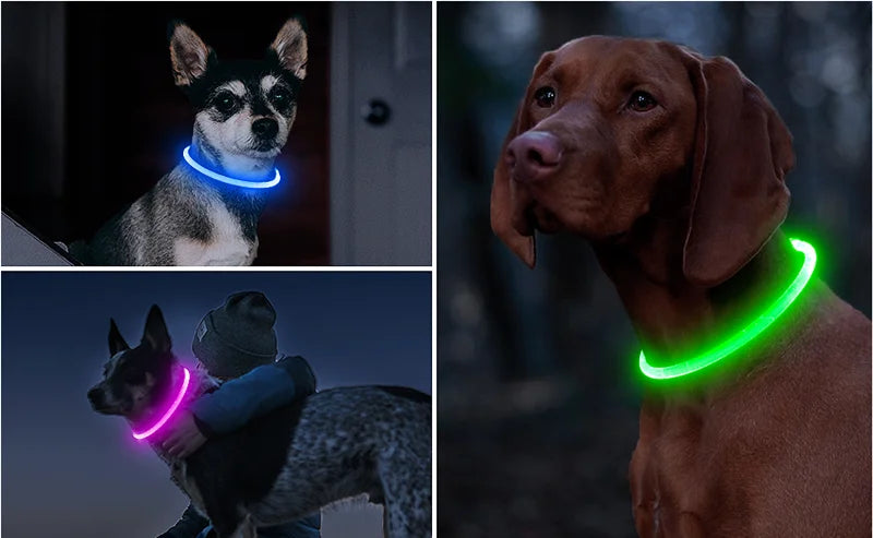 Collar LED Recargable para Perros – Luz de Seguridad para Paseos Nocturnos