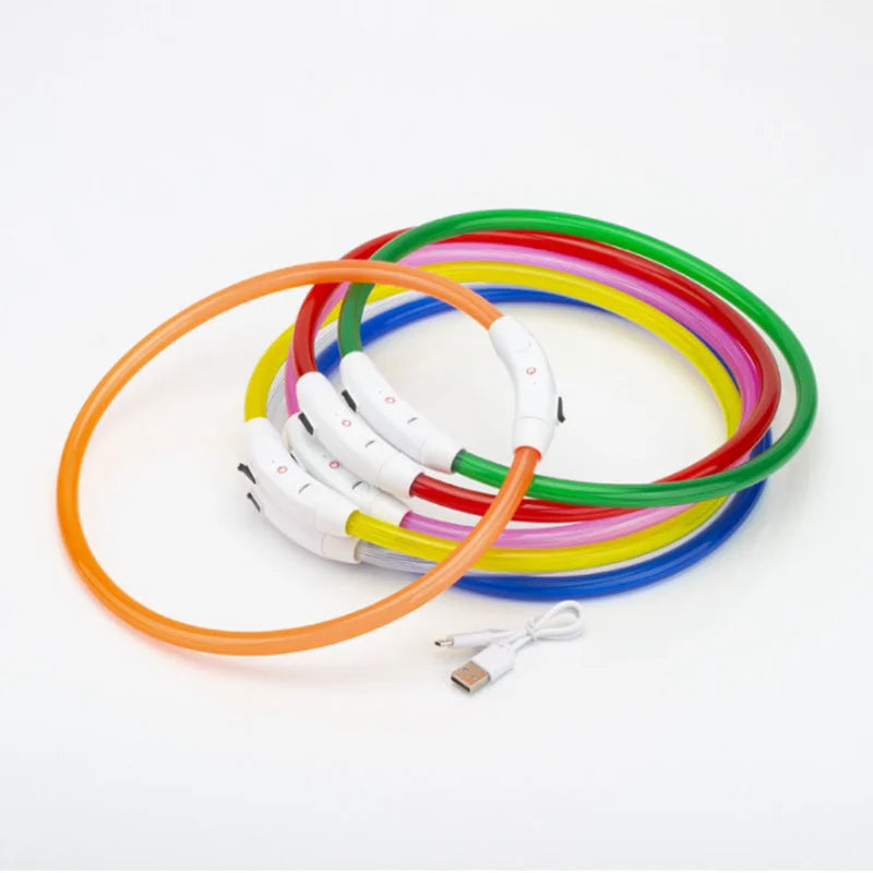 Collar LED Recargable para Perros – Luz de Seguridad para Paseos Nocturnos