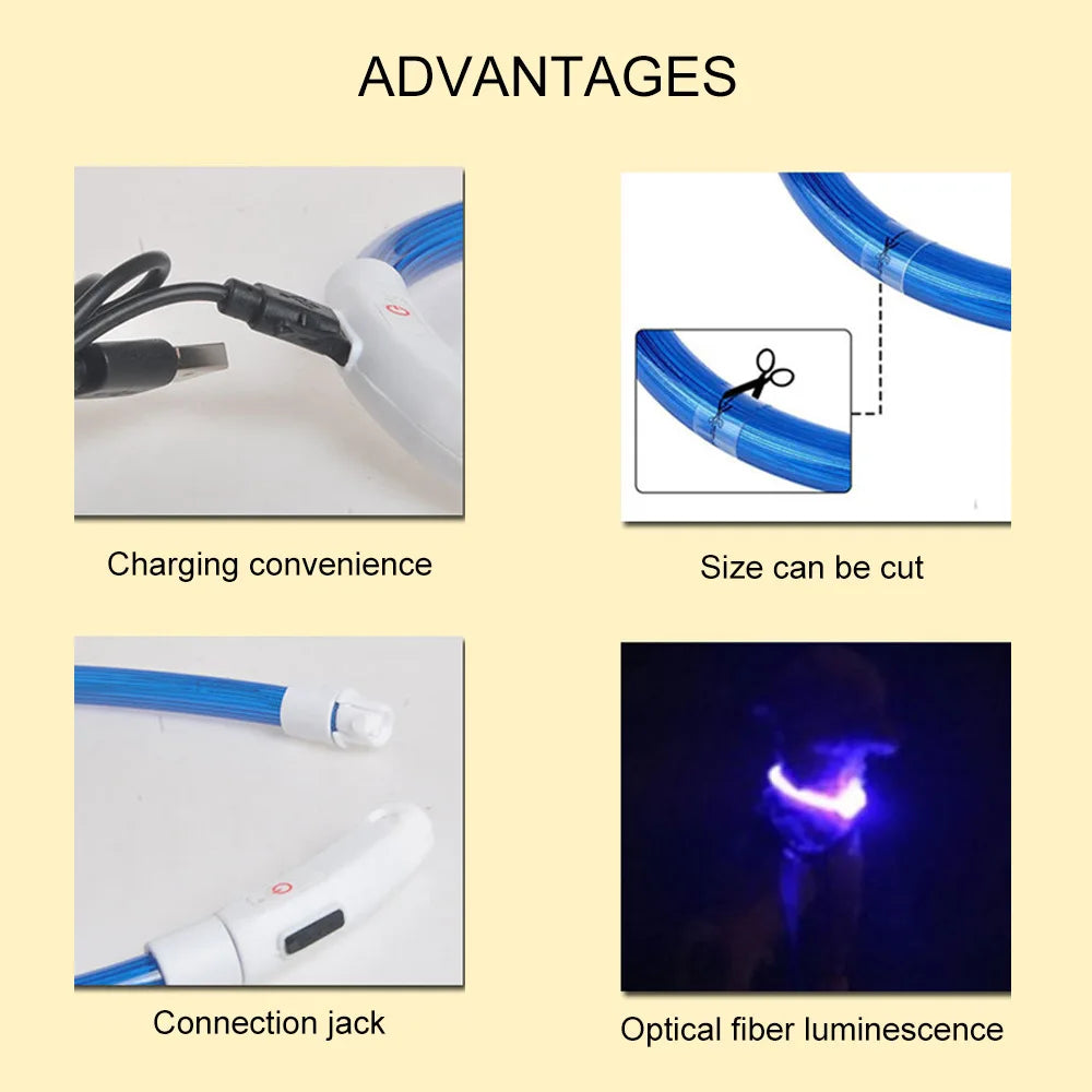 Collar LED Recargable para Perros – Luz de Seguridad para Paseos Nocturnos