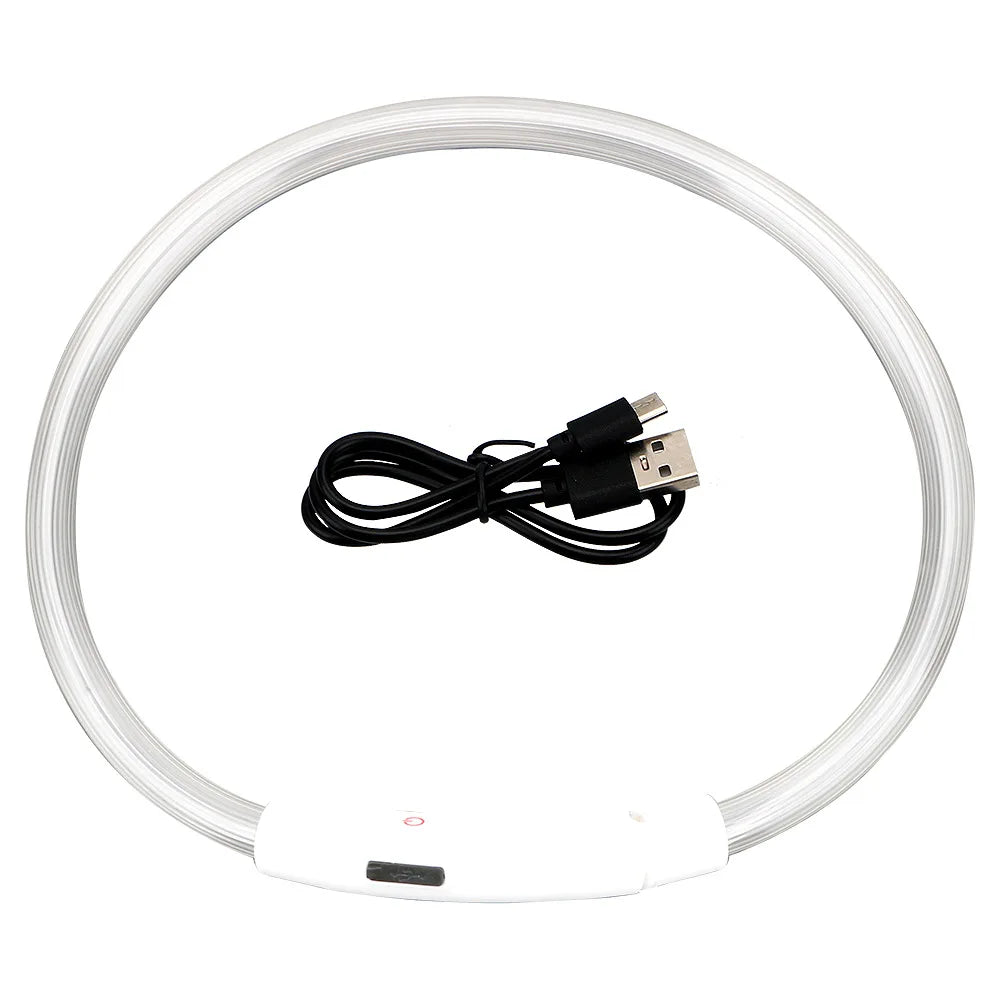 Collar LED Recargable para Perros – Luz de Seguridad para Paseos Nocturnos