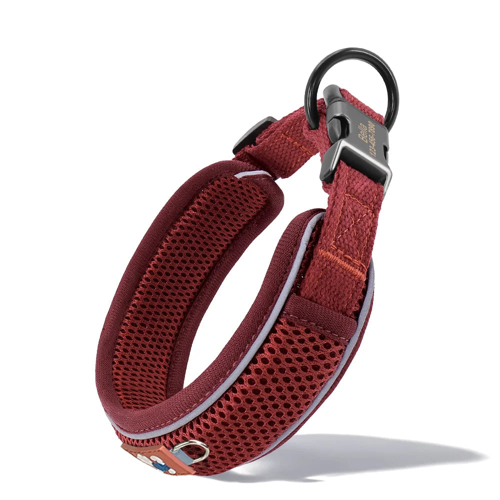 Collar Personalizado para Perros con Malla Transpirable y Detalles Reflectantes