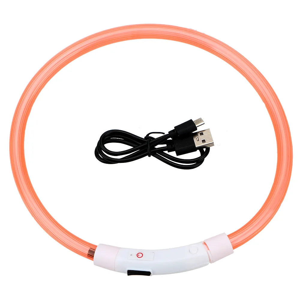 Collar LED Recargable para Perros – Luz de Seguridad para Paseos Nocturnos