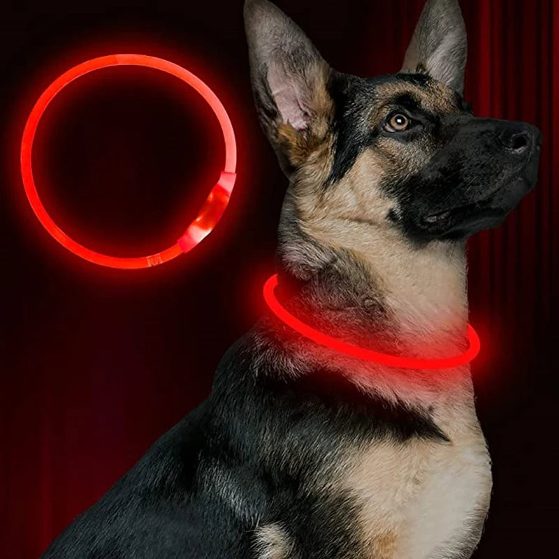 Collar LED Recargable para Perros – Luz de Seguridad para Paseos Nocturnos