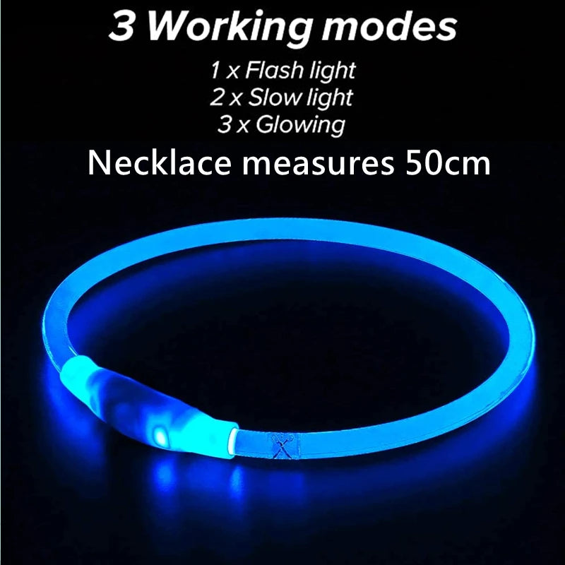 Collar LED Recargable para Perros – Luz de Seguridad para Paseos Nocturnos