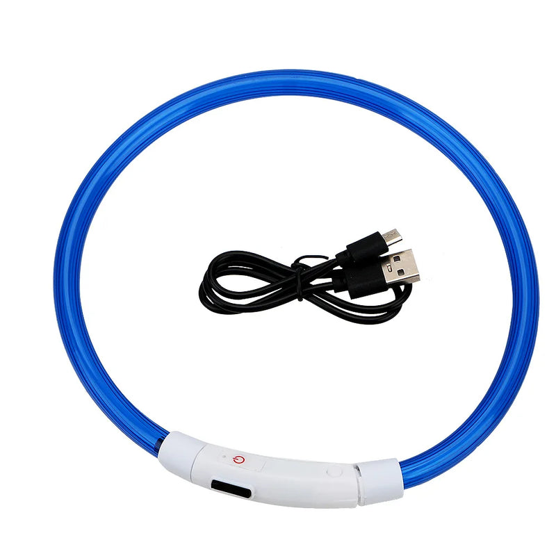 Collar LED Recargable para Perros – Luz de Seguridad para Paseos Nocturnos