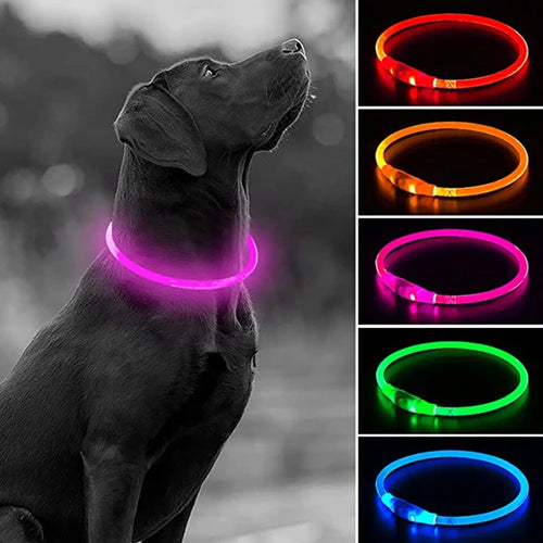 Collar LED Recargable para Perros – Luz de Seguridad para Paseos Nocturnos