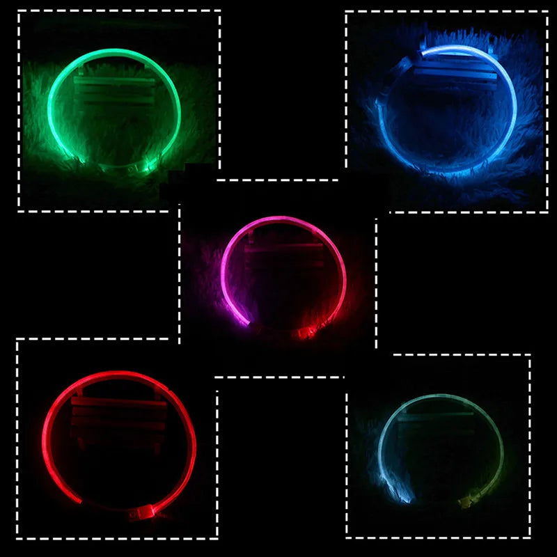 Collar LED Recargable para Perros – Luz de Seguridad para Paseos Nocturnos