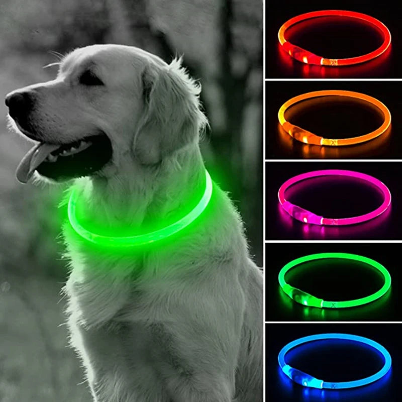 Collar LED Recargable para Perros – Luz de Seguridad para Paseos Nocturnos