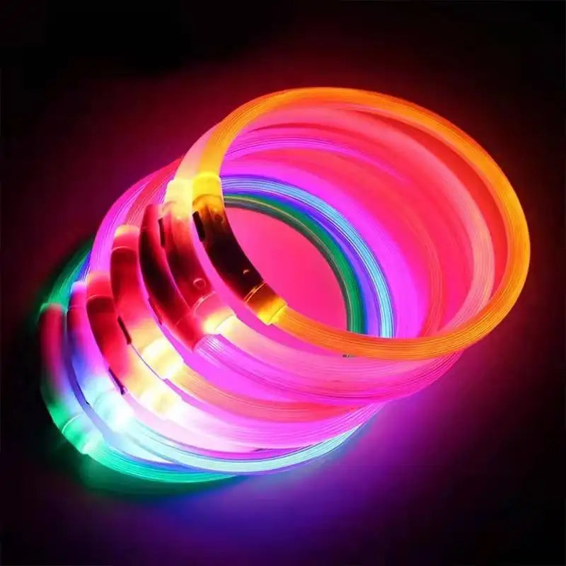 Collar LED Recargable para Perros – Luz de Seguridad para Paseos Nocturnos