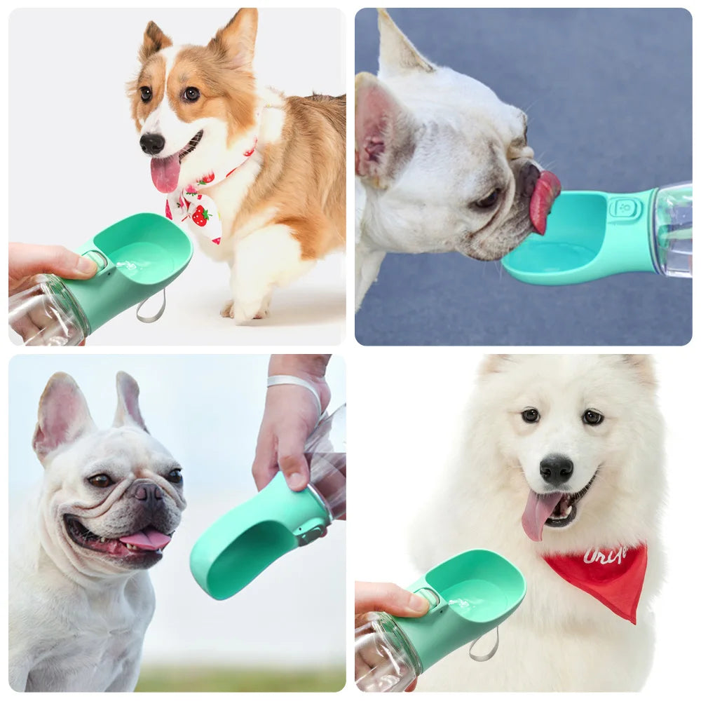 Botella Portátil de Agua para Perros y Gatos – Antifugas para Paseos