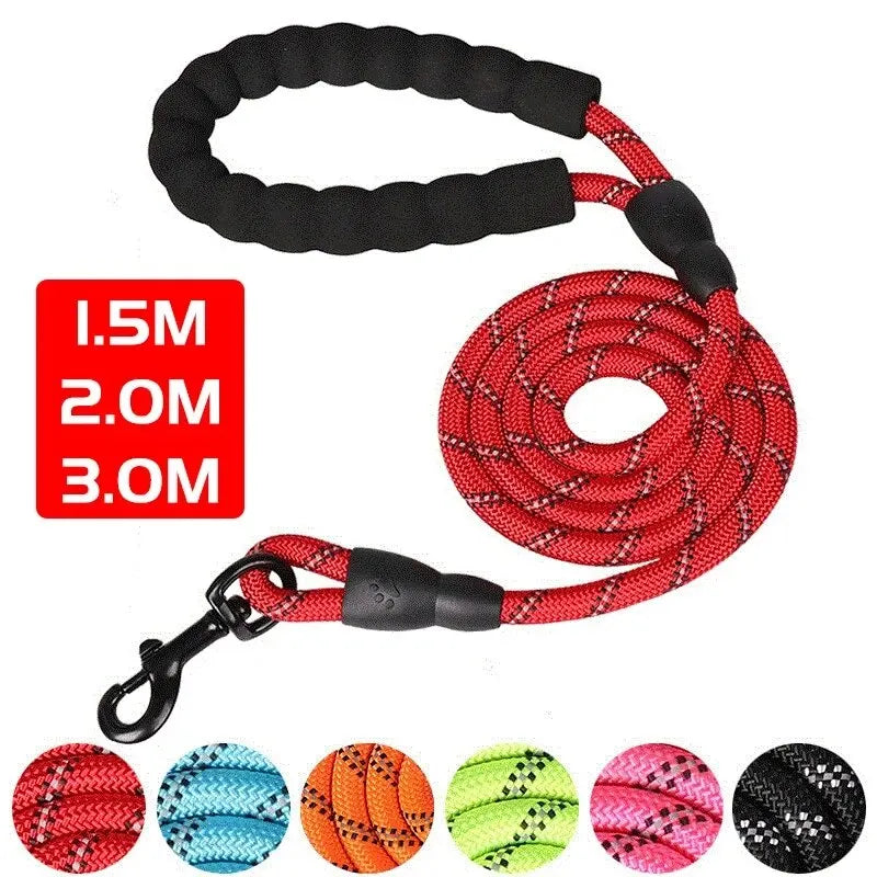 Correa Reflectante para Perros – Resistente con Asa Acolchada