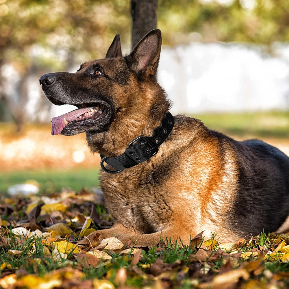 Collar Resistente de Nylon para Perros – Diseño Táctico para Paseos y Entrenamiento