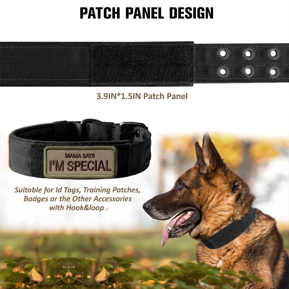 Collar Resistente de Nylon para Perros – Diseño Táctico para Paseos y Entrenamiento