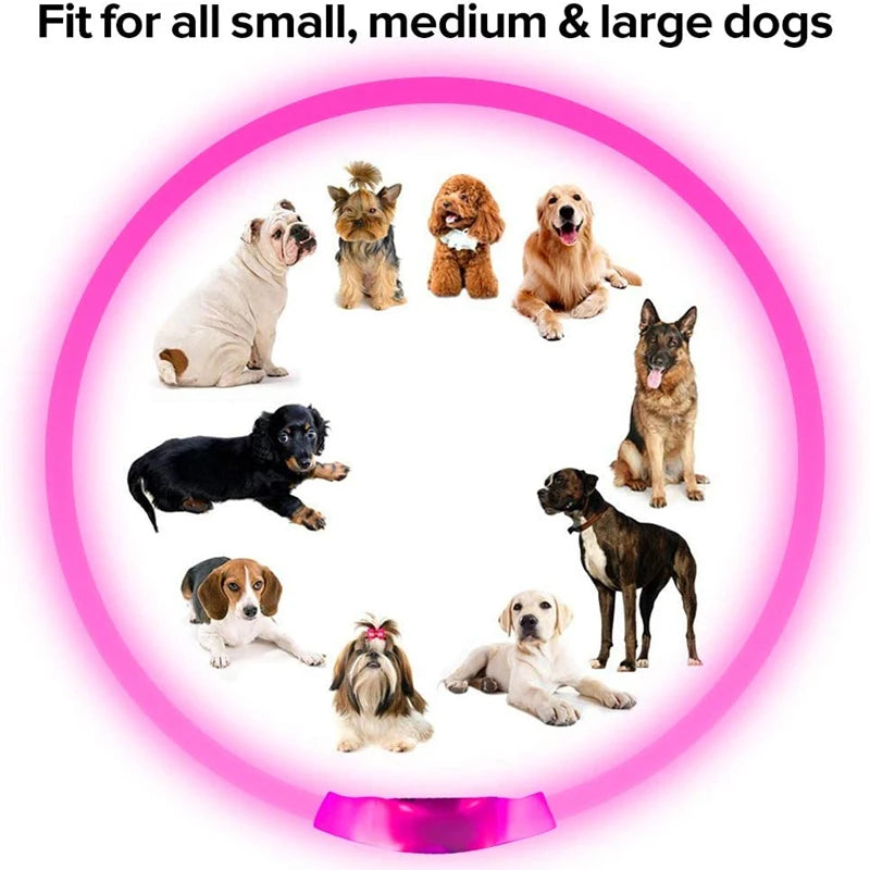 Collar LED Recargable para Perros – Luz de Seguridad para Paseos Nocturnos